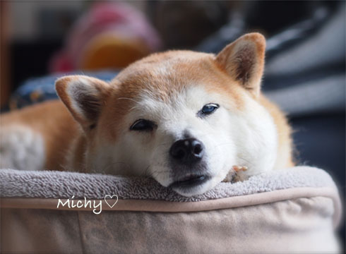 21日ブログ8.jpg