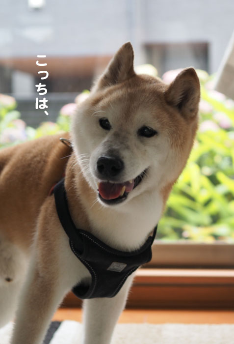 9日ブログ１
