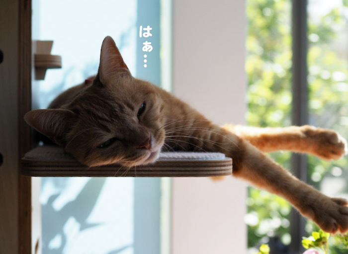 21日ブログ２
