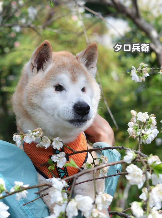 20日ブログ６