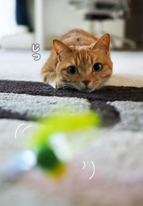 20日夕ブログ５