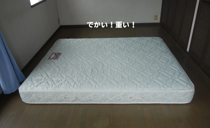 16日夕ブログ３