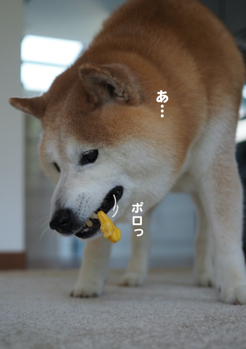 28日夕ブログ３
