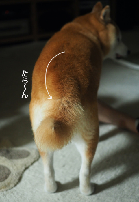 1日夜ブログ５