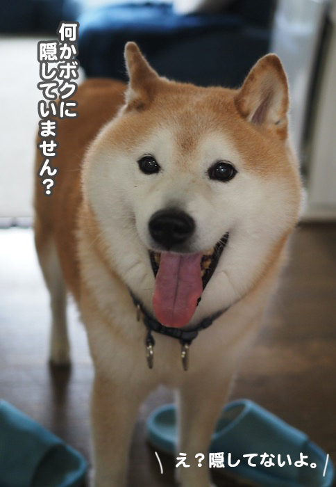 13日ブログ２
