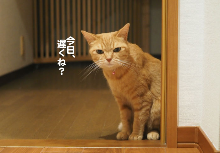 1日ブログ２