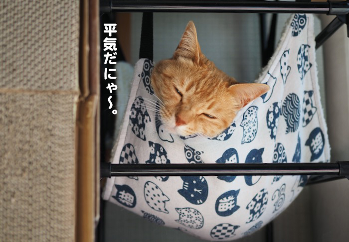 11日ブログ６