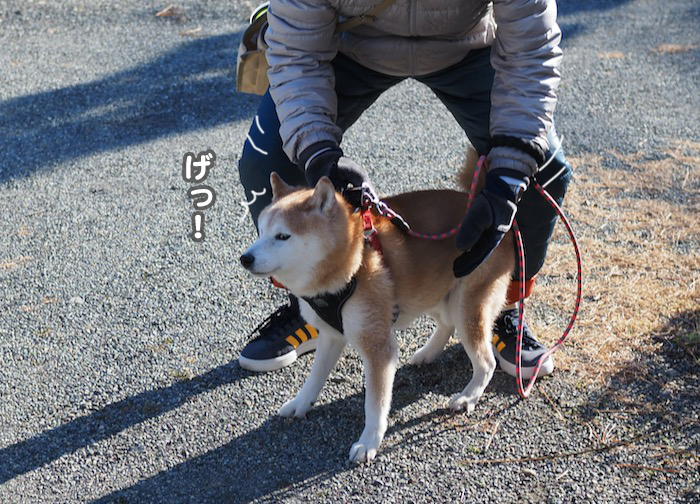 9日夕ブログ３