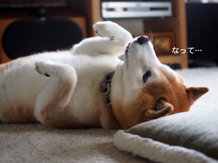 9日夜ブログ４