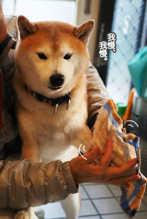 1日夜ブログ６