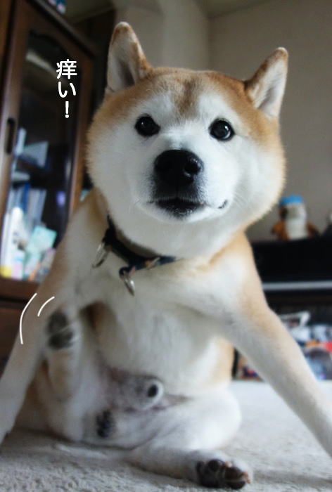 9日夜ブログ６