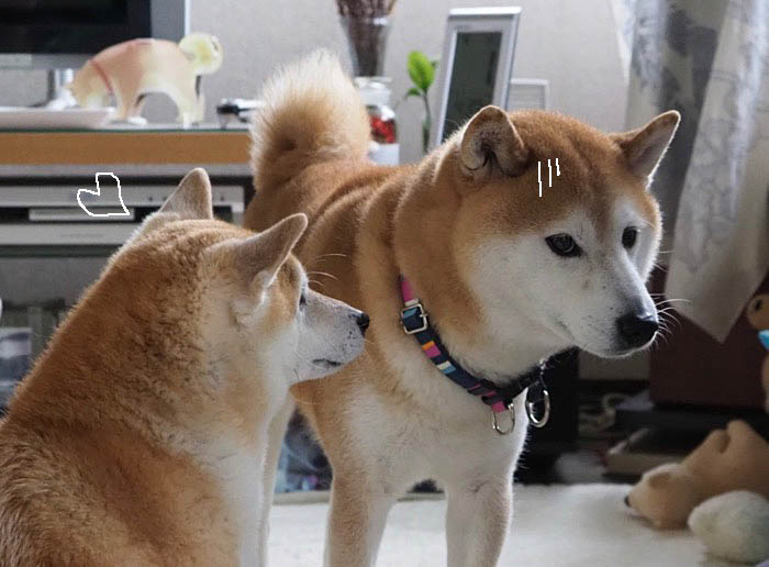 2日ブログ12