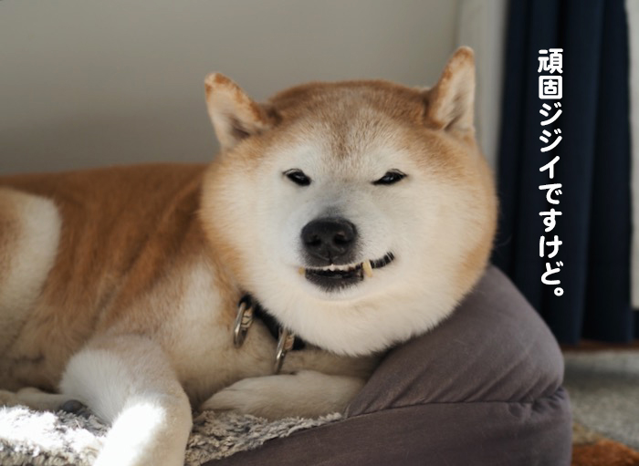 22日ブログ７
