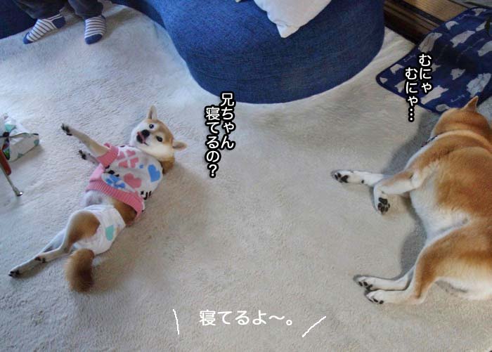 21日ブログ３