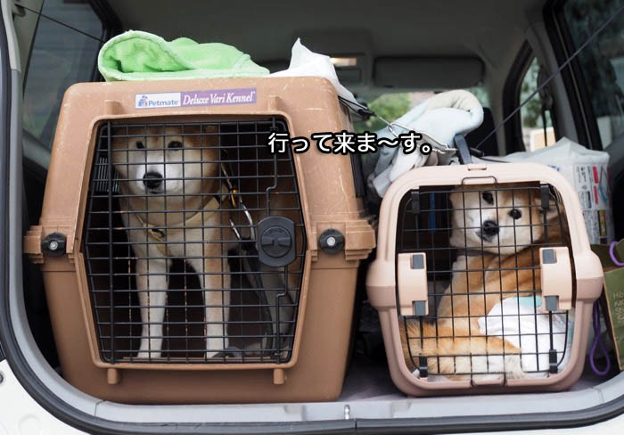 27日ブログ９