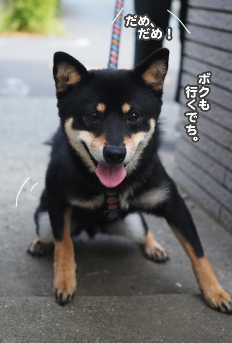1夕ブログ９