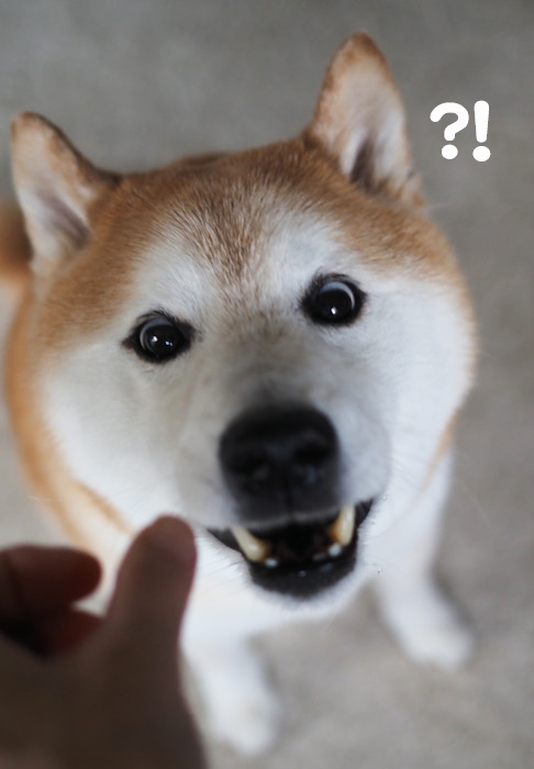 12日ブログ４
