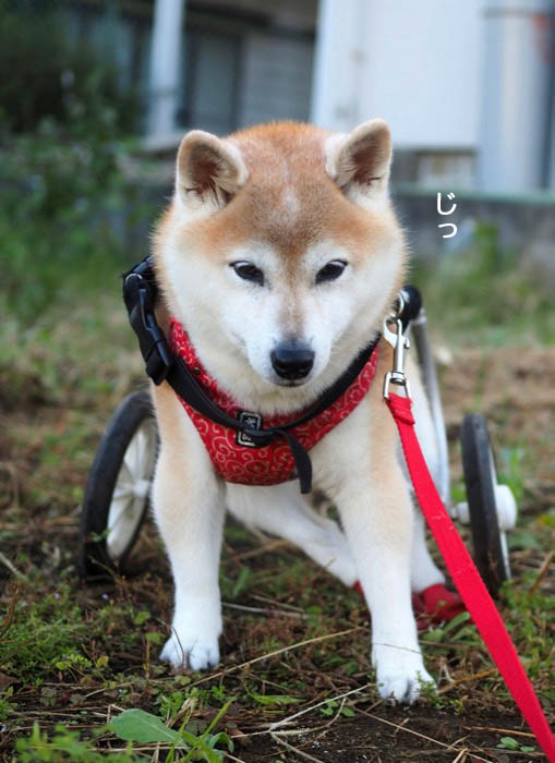 24日夕ブログ２