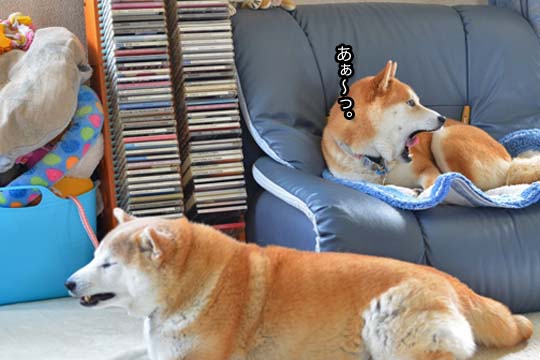 29日ブログ6.jpg