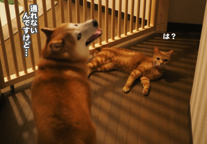 30日夕ブログ２