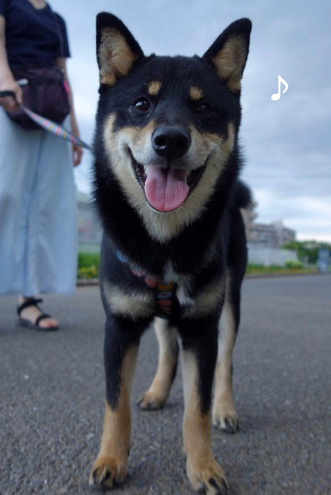 21日夜ブログ2