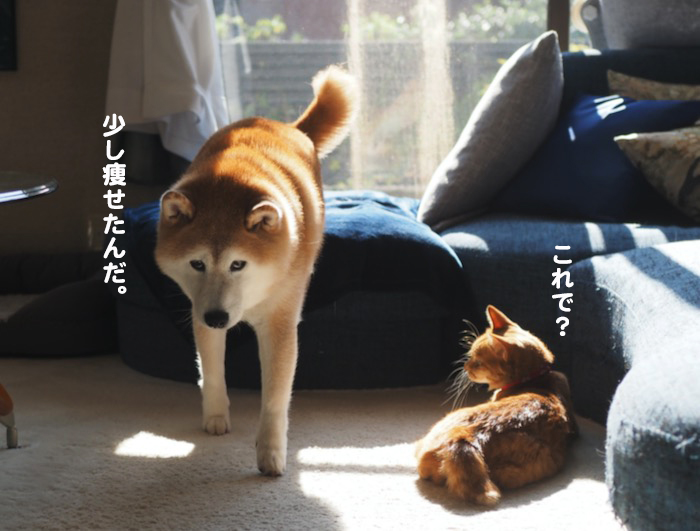 27日ブログ６