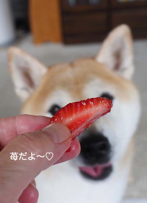 4日夜ブログ２