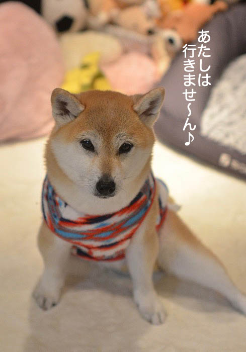 8日午前ブログ4