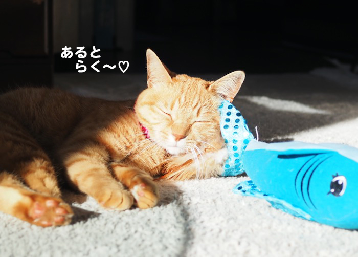 15日夜ブログ７