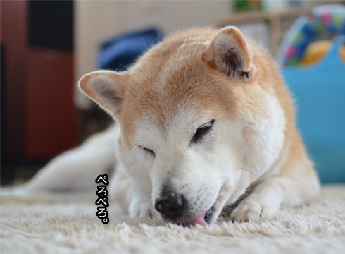 31日ブログ14.jpg