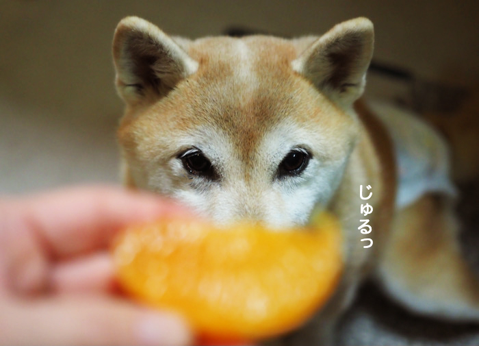 27日夜ブログ３