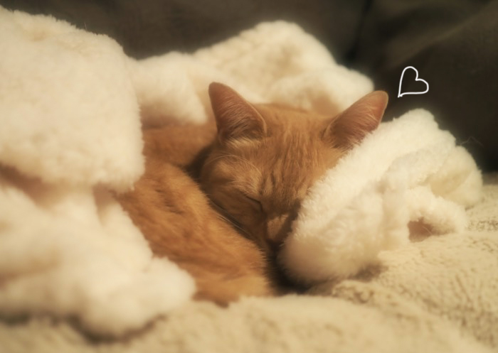 15日夕ブログ８