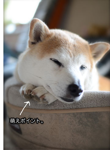 23日ブログ8.jpg