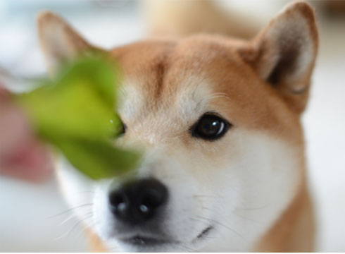 21日ブログ5.jpg