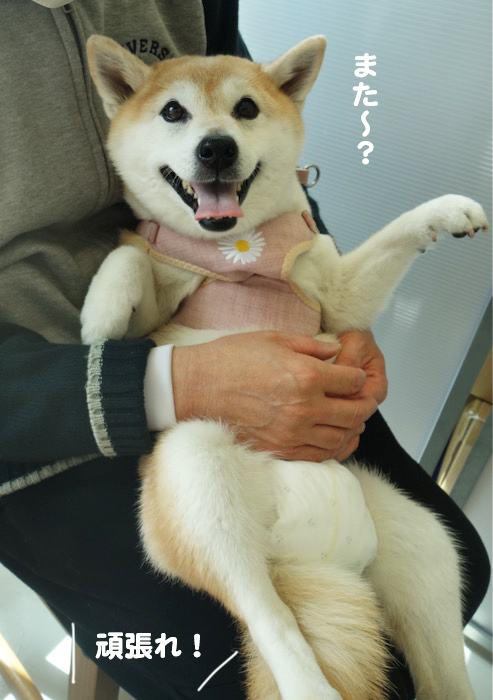 25日夜ブログ９
