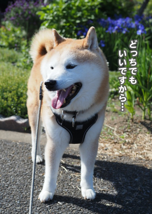8日ブログ２