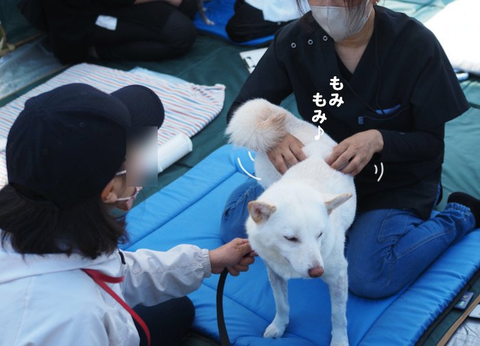 29日夕ブログ８