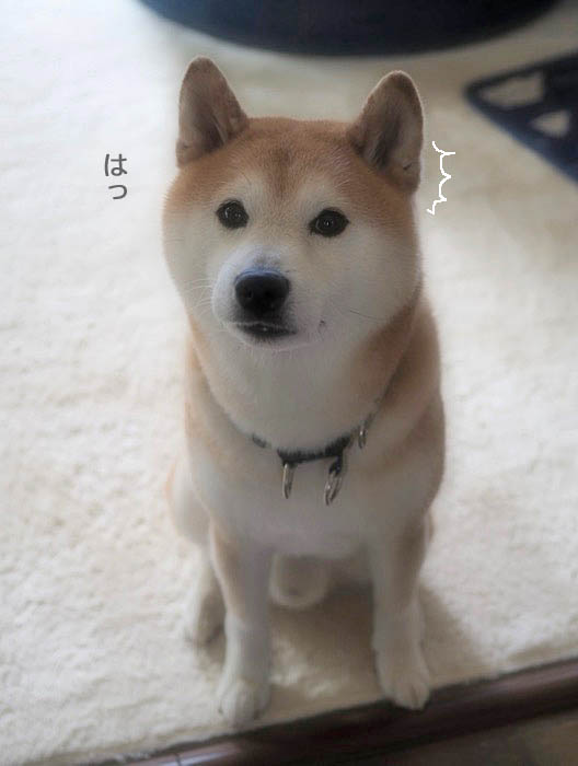 8日夜ブログ2