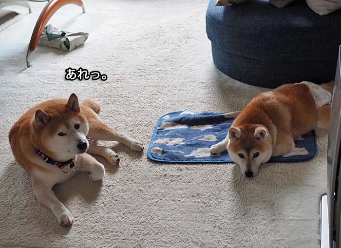 3日ブログ１