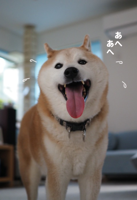27日夕ブログ6