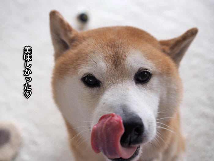 11日ブログ９