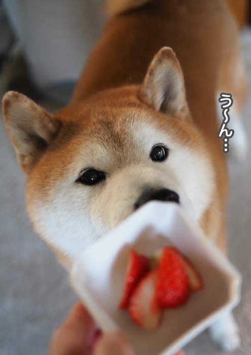 4日夕ブログ４