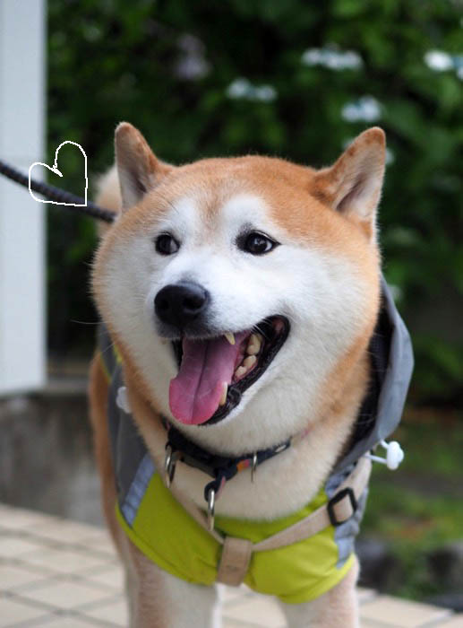 20日ブログ5