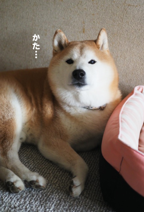 18日ブログ２