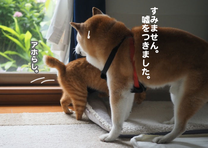 9日ブログ３