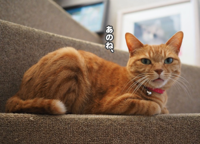 1日昼ブログ２