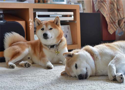 9日ブログ5.jpg