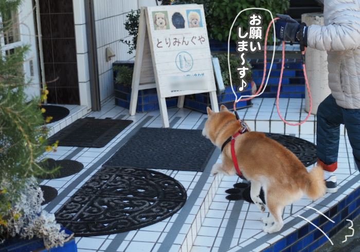 9日夕ブログ９