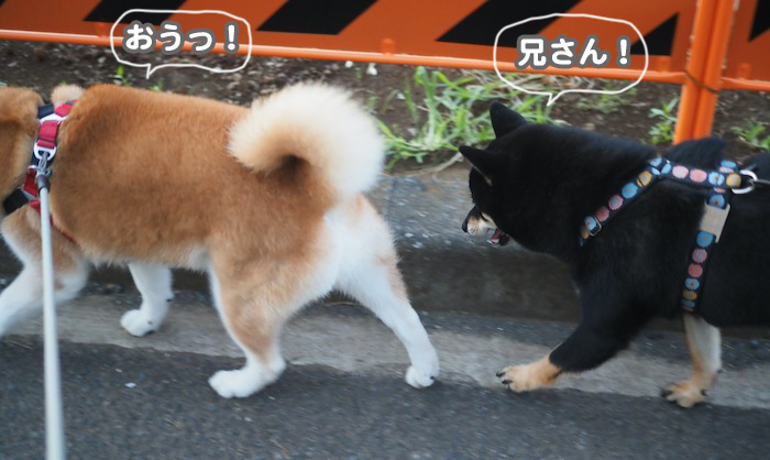 6日夕ブログ３