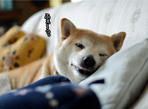 23日ブログ2.jpg
